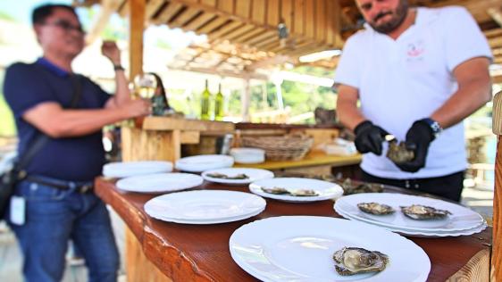 Day 2 - Wines & oysters on peninsula Pelješac & Elafiti islands – exclusive tour by car & speedboat